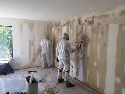 Best Mold Remediation for Vacation Homes  in Hamtramck, MI